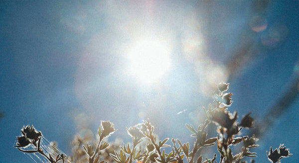 10 Low-Lift Rituals To Reset Your Body + Mind Before 9 AM
