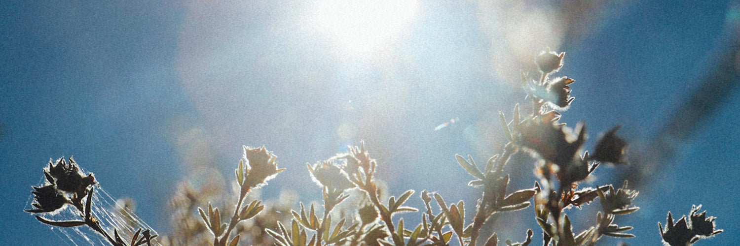 10 Low-Lift Rituals To Reset Your Body + Mind Before 9 AM